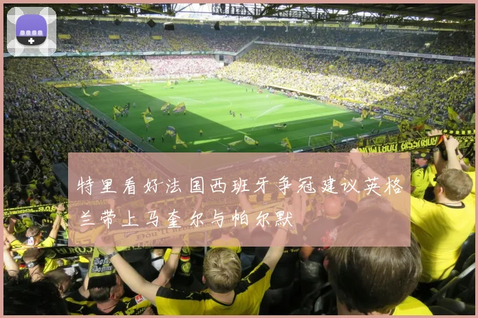 特里看好法国西班牙争冠建议英格兰带上马奎尔与帕尔默