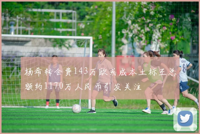 杨希转会费143万欧或成本土标王总额约1170万人民币引发关注
